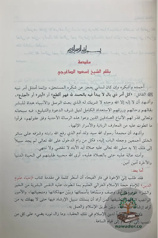ahyaʾ-ʿlwm-aldyn-aby-hamd-alghzaly_25796135336936341374